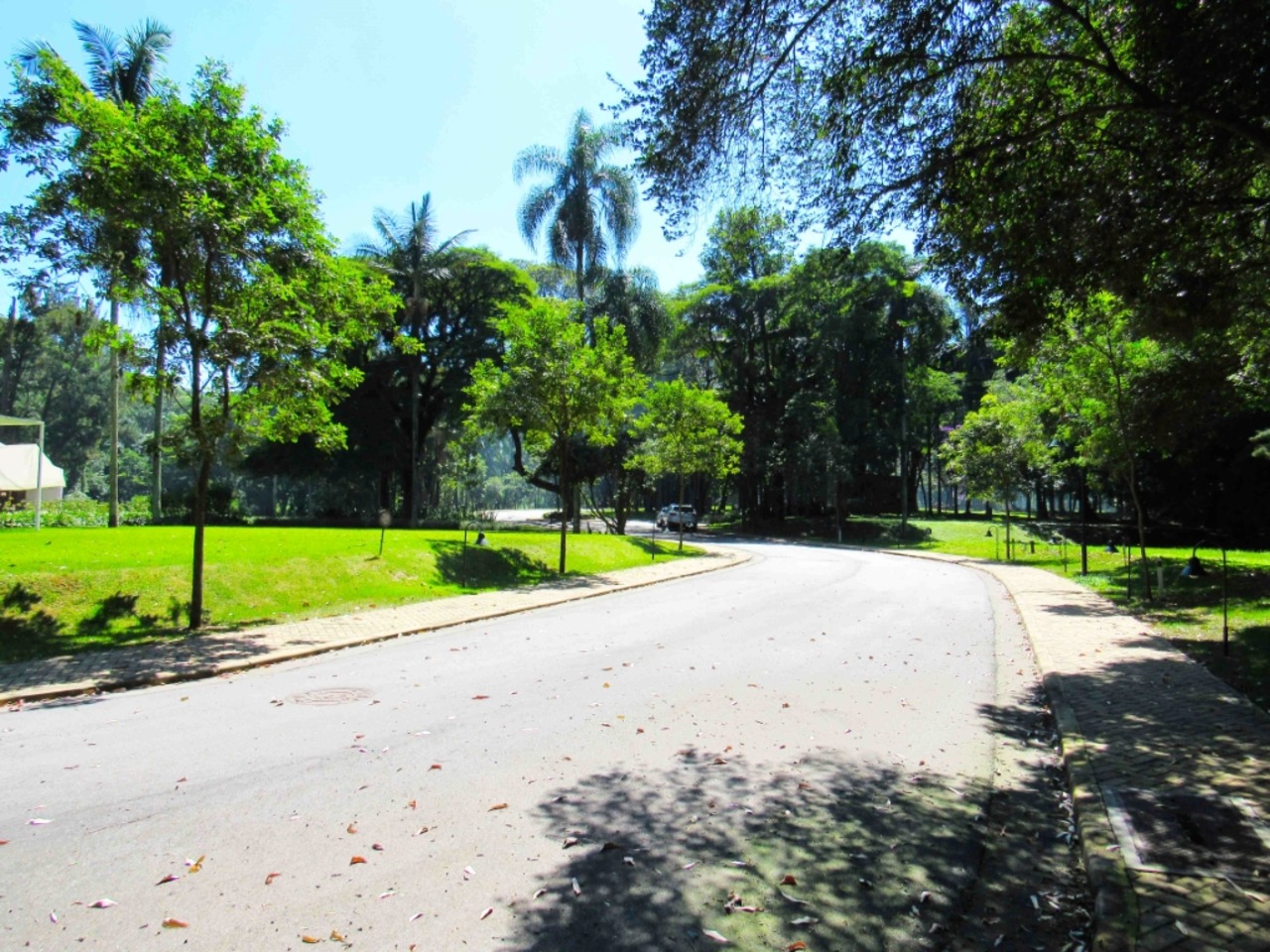 Terreno com 0 quartos à venda, 638m² em Zona Sul, São Paulo, SP