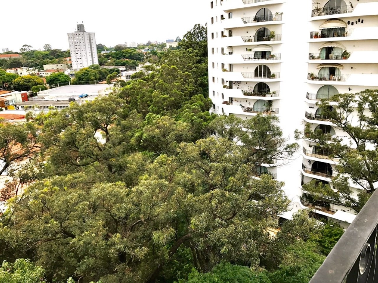 Apartamento com 3 quartos à venda, 198m² em Rua Carmo do Rio Verde, Granja Julieta, São Paulo, SP