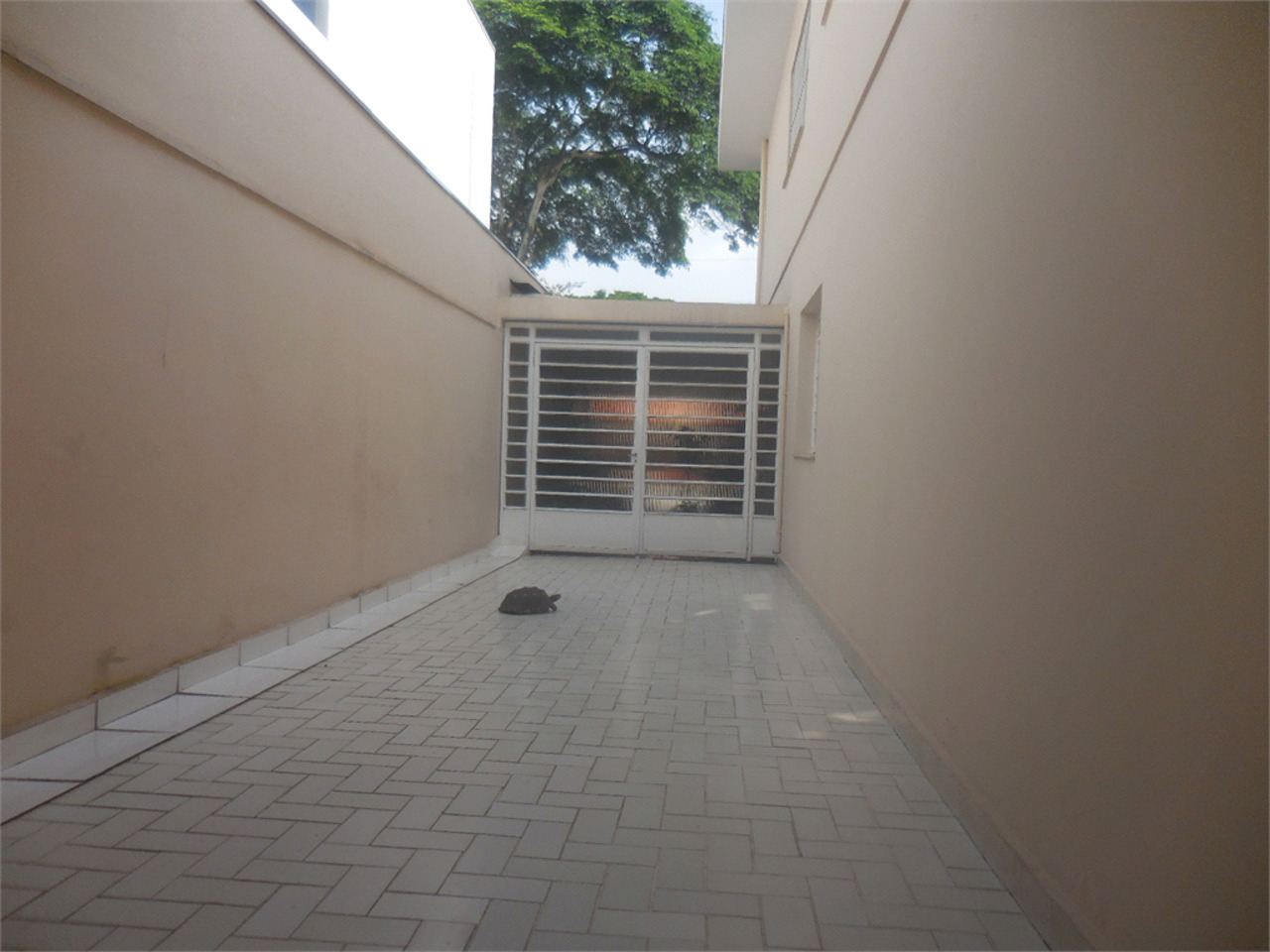 Sobrado com 4 quartos à venda, 332m² em Rua Manuel Figueiredo Landim, Jardim Campo Grande, São Paulo, SP