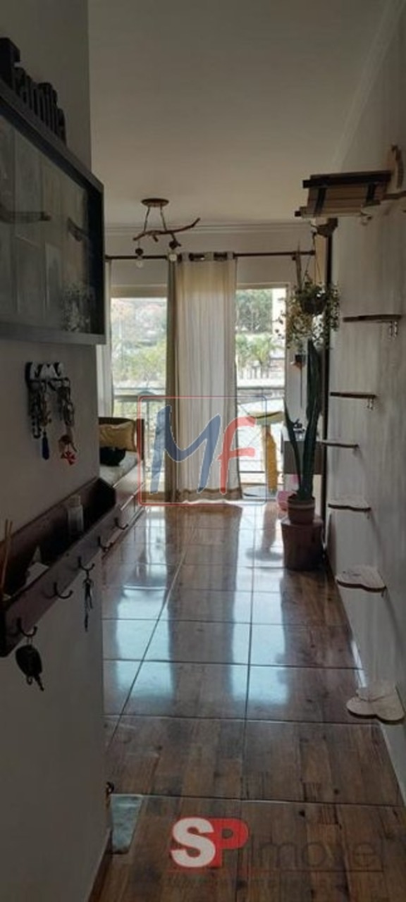 Apartamento com 3 quartos client, 68m² em Vila Emir, São Paulo, SP