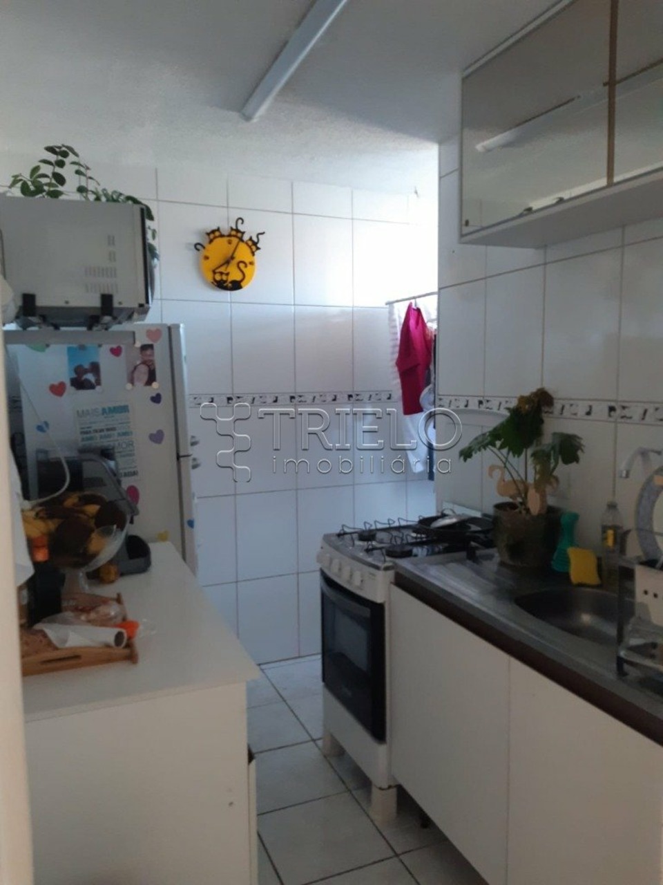 Apartamento com 2 quartos à venda, 40m² em Vila Nova Aparecida, Mogi das Cruzes, SP