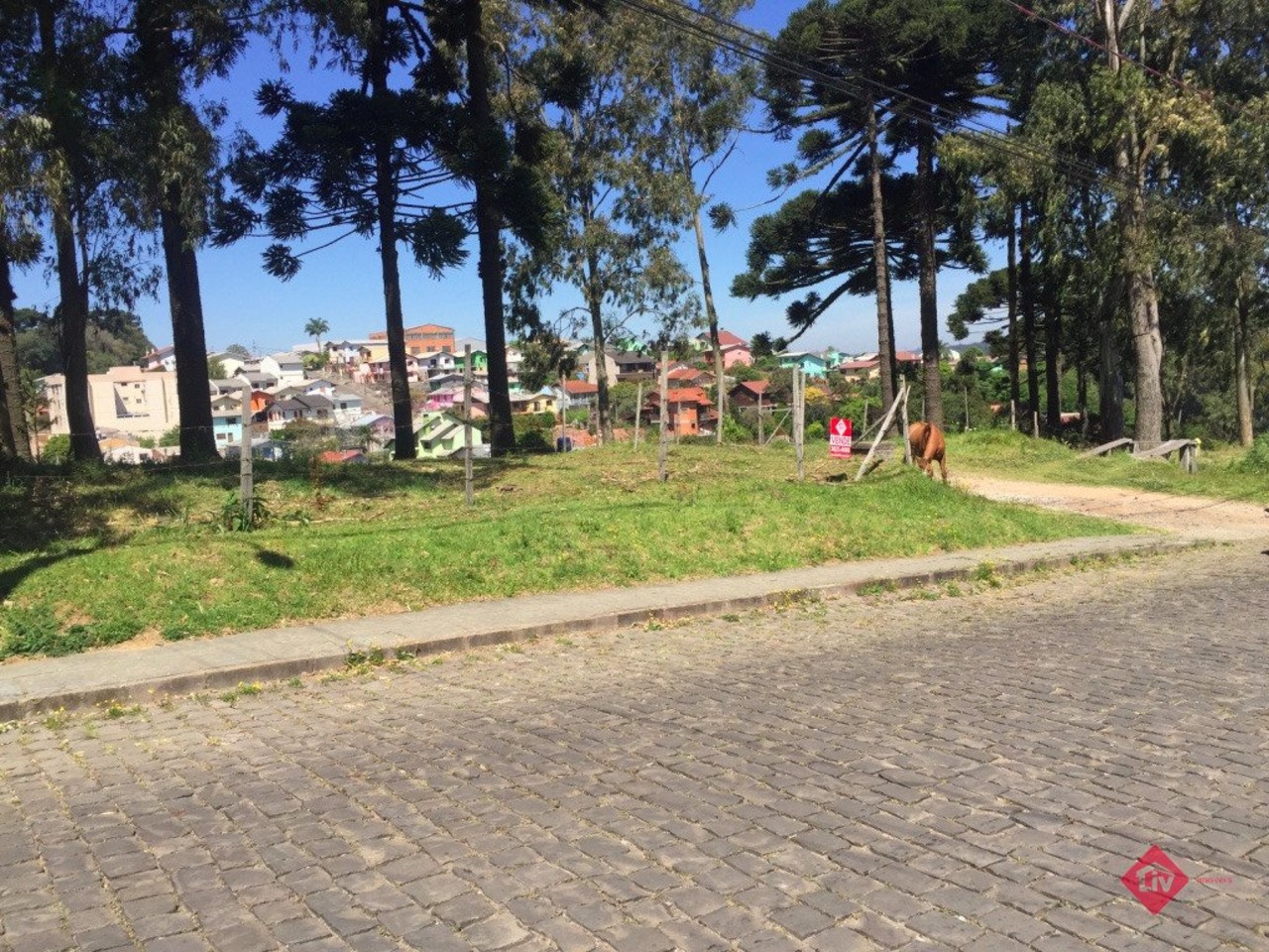 Terreno com 0 quartos à venda, 5820m² em Avenida Ângelo Guisso, Esplanada, Caxias do Sul, RS