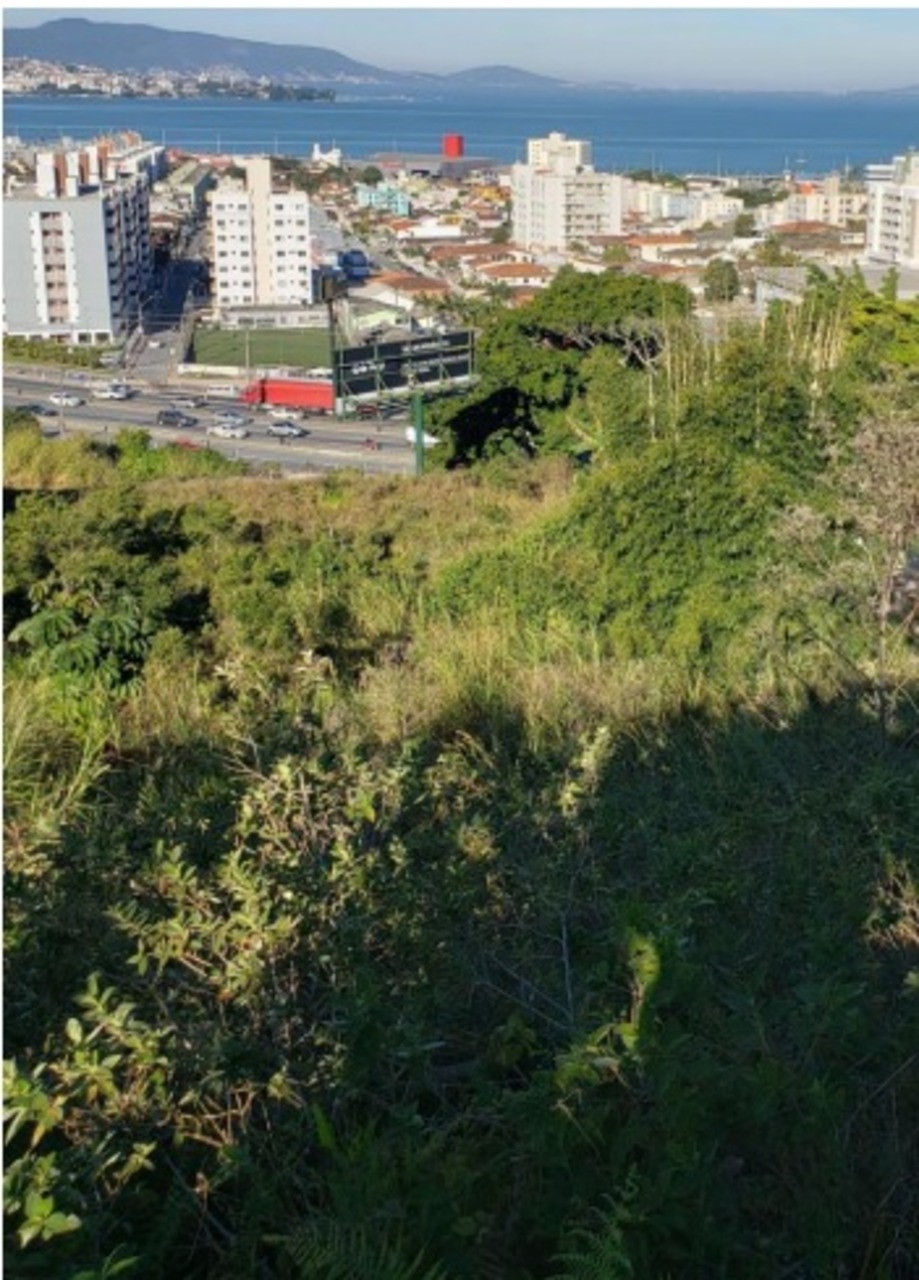 Terreno com 0 quartos à venda, 14708m² em Rua Saturnino Henrique, Picadas do Sul, São José, SC