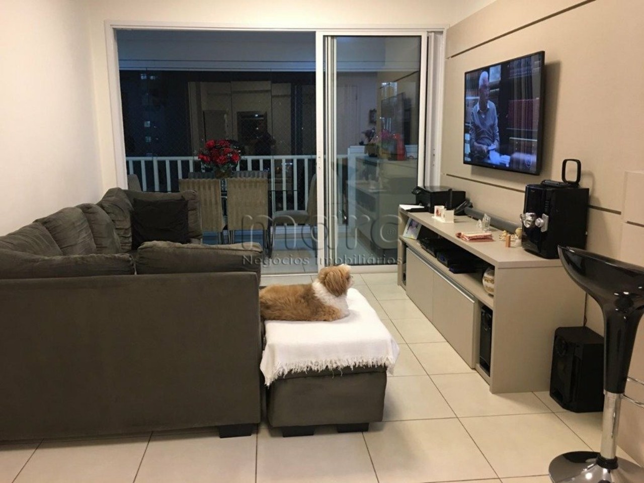 Apartamento com 3 quartos para alugar, 0m² em Cambuci, São Paulo, SP