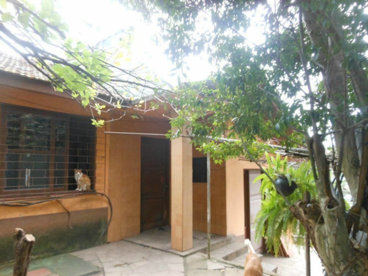 Casa com 4 quartos à venda, 220m² em Vila Ipiranga, Porto Alegre, RS