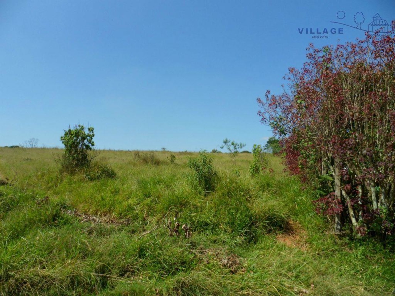 Terreno com 0 quartos à venda, 2000m² em Vila Virgínia, Itaquaquecetuba, SP