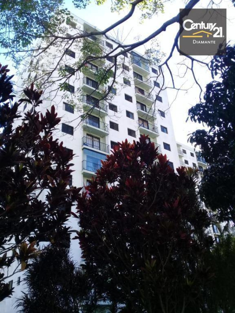 Apartamento com 2 quartos à venda, 47m² em Vila Vermelha, São Paulo, SP
